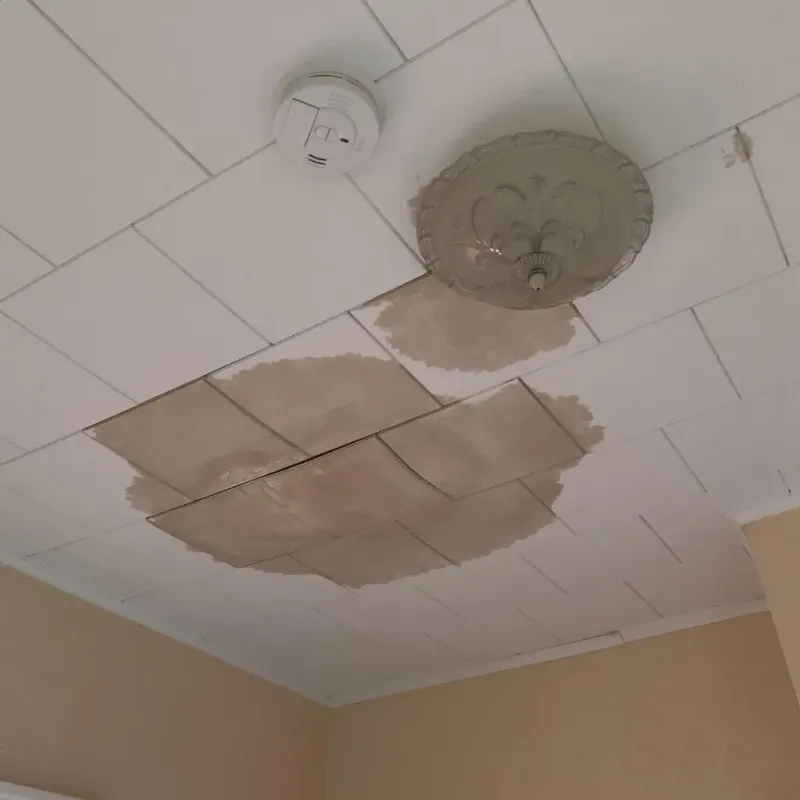 Ceiling Water Damage Repair in Plentywood, MT
